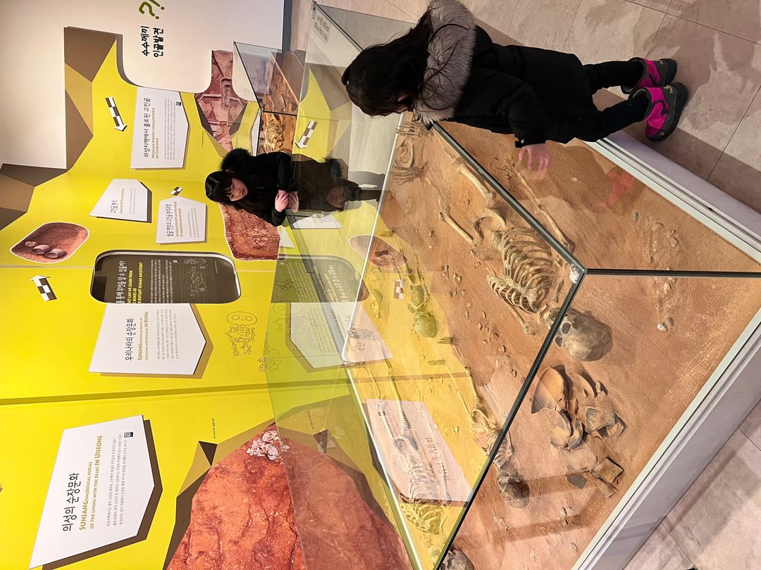 의성조문국박물관