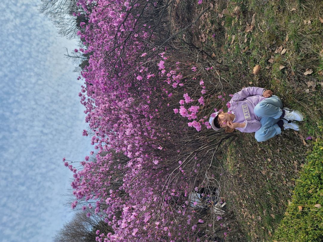 https://image.mom-mom.net/eyJidWNrZXQiOiJtb21tb20tbW9tc3RvdWNoIiwia2V5IjoicGxhY2VzLzY3ZTNmODQxMzE1MTAzYzBmZGZlMDhkOS5qcGciLCJlZGl0cyI6eyJyZXNpemUiOnsid2lkdGgiOjUwMCwiaGVpZ2h0IjozNzV9fX0=