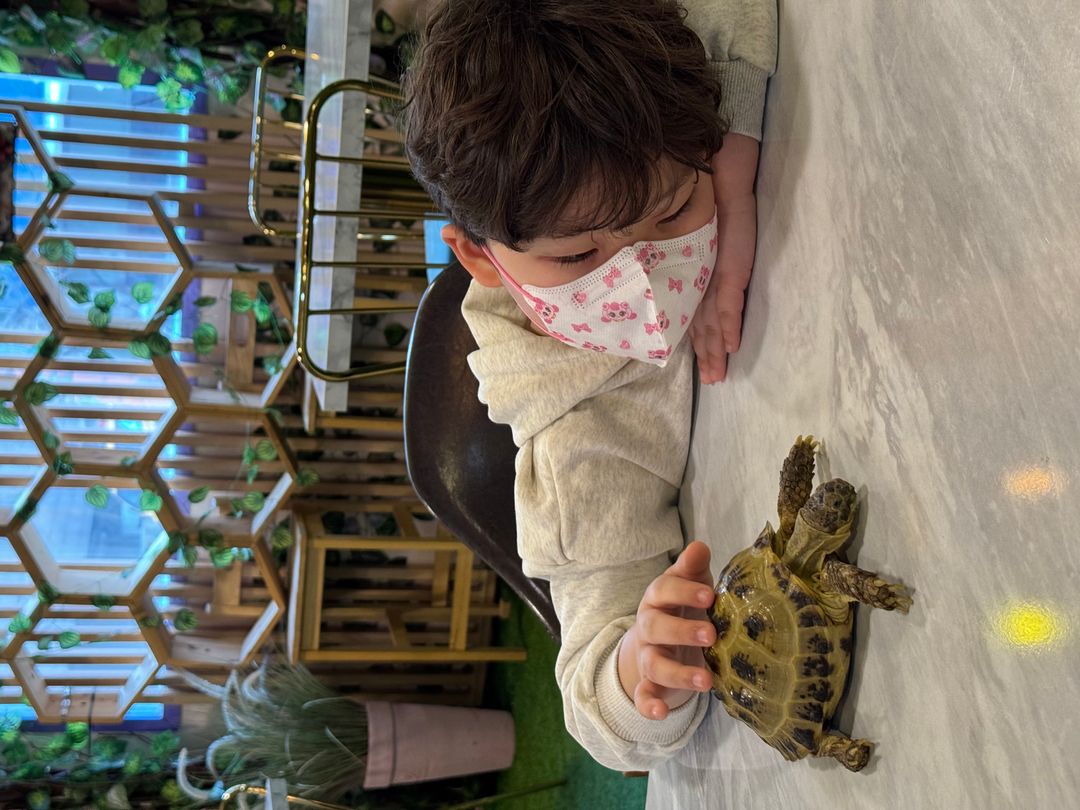 https://image.mom-mom.net/eyJidWNrZXQiOiJtb21tb20tbW9tc3RvdWNoIiwia2V5IjoicGxhY2VzLzY3ZTEzMjVkNDg3YzM1NTYyMWQwM2ZmMC5qcGVnIiwiZWRpdHMiOnsicmVzaXplIjp7IndpZHRoIjo1MDAsImhlaWdodCI6Mzc1fX19
