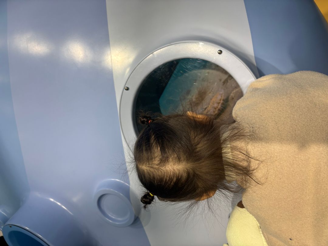 https://image.mom-mom.net/eyJidWNrZXQiOiJtb21tb20tbW9tc3RvdWNoIiwia2V5IjoicGxhY2VzLzY3ZTc2OGZiNTM4MjdiODJlMTIzMzIwZi5qcGVnIiwiZWRpdHMiOnsicmVzaXplIjp7IndpZHRoIjo1MDAsImhlaWdodCI6Mzc1fX19