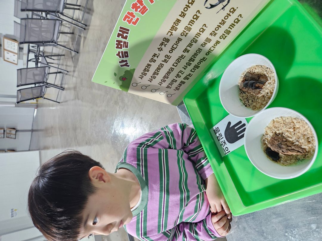 https://image.mom-mom.net/eyJidWNrZXQiOiJtb21tb20tbW9tc3RvdWNoIiwia2V5IjoicGxhY2VzLzY3ZTk1NWVmOWJkMjMwYWM1NTFlYjA5Yi5qcGciLCJlZGl0cyI6eyJyZXNpemUiOnsid2lkdGgiOjUwMCwiaGVpZ2h0IjozNzV9fX0=