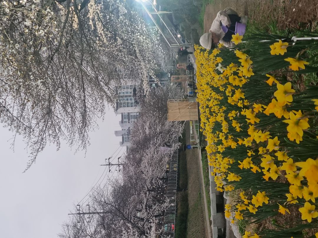 https://image.mom-mom.net/eyJidWNrZXQiOiJtb21tb20tbW9tc3RvdWNoIiwia2V5IjoicGxhY2VzLzY3ZWFhYWQxNzdkMjI4ODI4NWZiMDM0Zi5qcGciLCJlZGl0cyI6eyJyZXNpemUiOnsid2lkdGgiOjUwMCwiaGVpZ2h0IjozNzV9fX0=