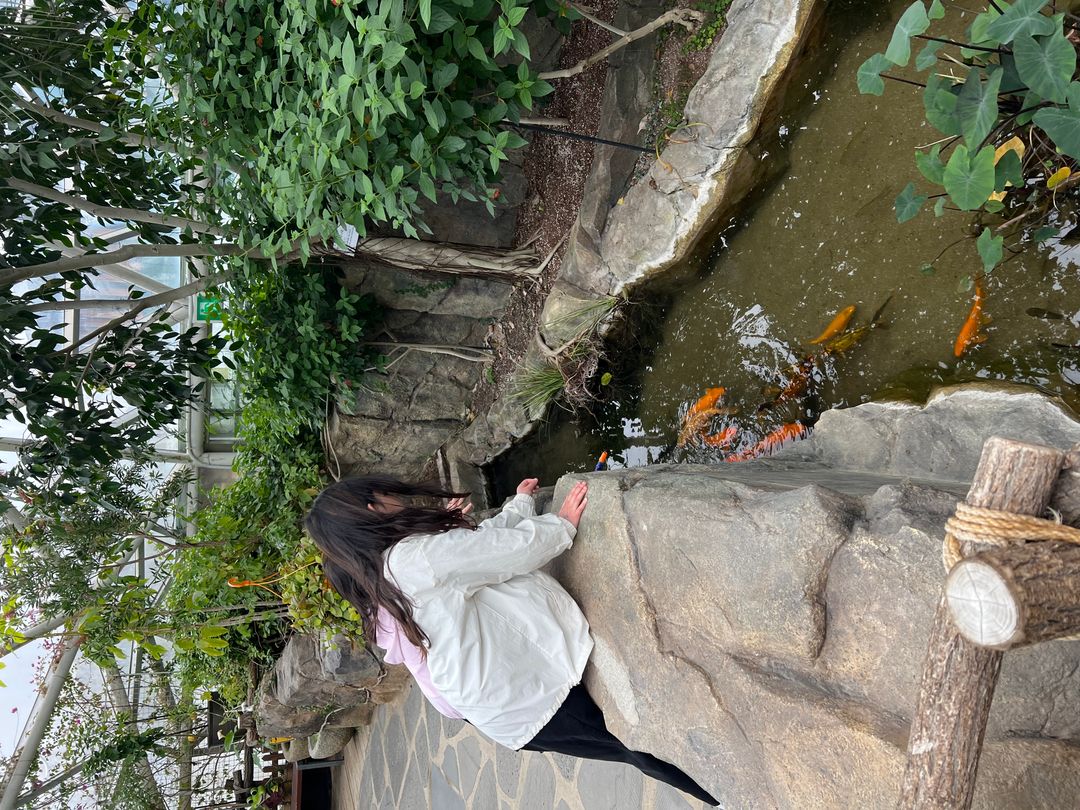 https://image.mom-mom.net/eyJidWNrZXQiOiJtb21tb20tbW9tc3RvdWNoIiwia2V5IjoicGxhY2VzLzY3ZmNiOGU4YTUxODExZjAwNDQxM2MyYS5qcGVnIiwiZWRpdHMiOnsicmVzaXplIjp7IndpZHRoIjo1MDAsImhlaWdodCI6Mzc1fX19