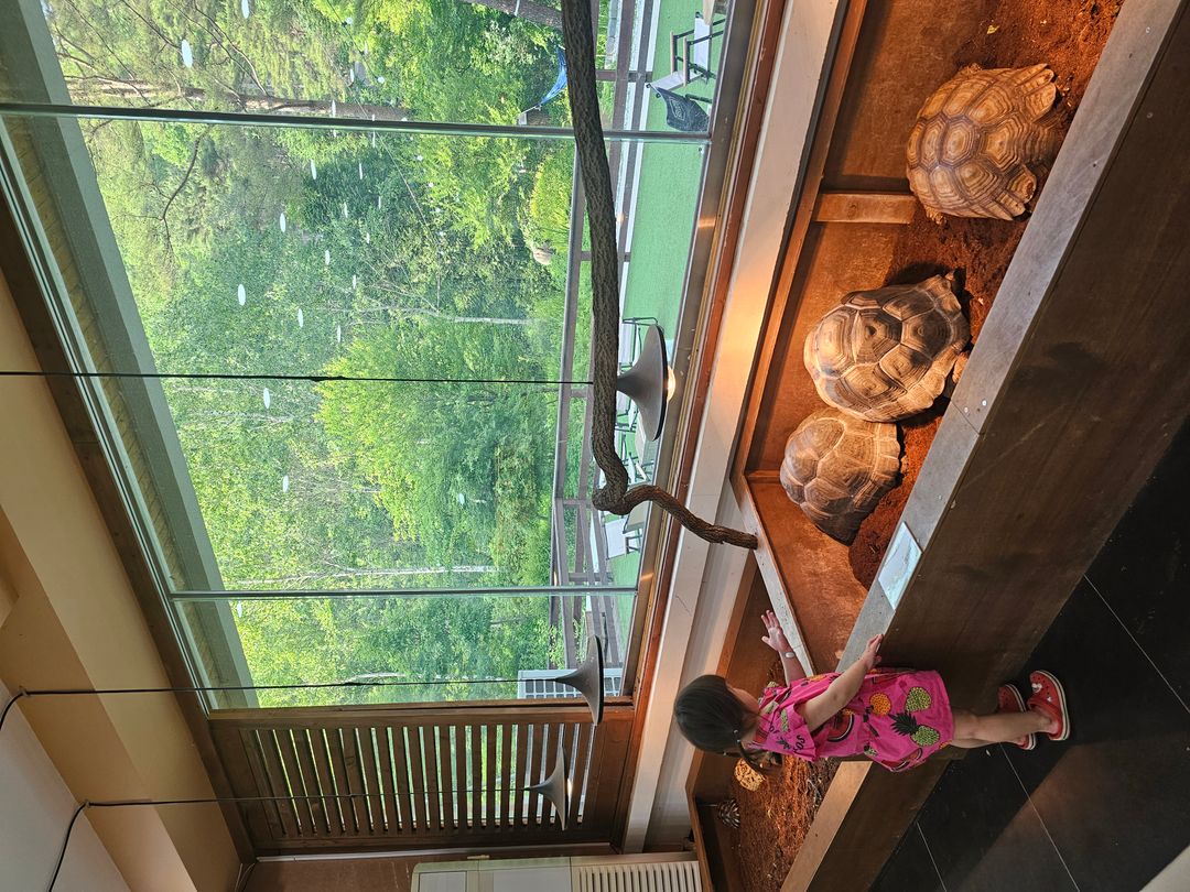 https://image.mom-mom.net/eyJidWNrZXQiOiJtb21tb20tbW9tc3RvdWNoIiwia2V5IjoicGxhY2VzLzY4NDJlNTVhMjA3N2QyYzgyOTNiZjJiNS5qcGciLCJlZGl0cyI6eyJyZXNpemUiOnsid2lkdGgiOjEwODAsIndpdGhvdXRFbmxhcmdlbWVudCI6dHJ1ZX19fQ==