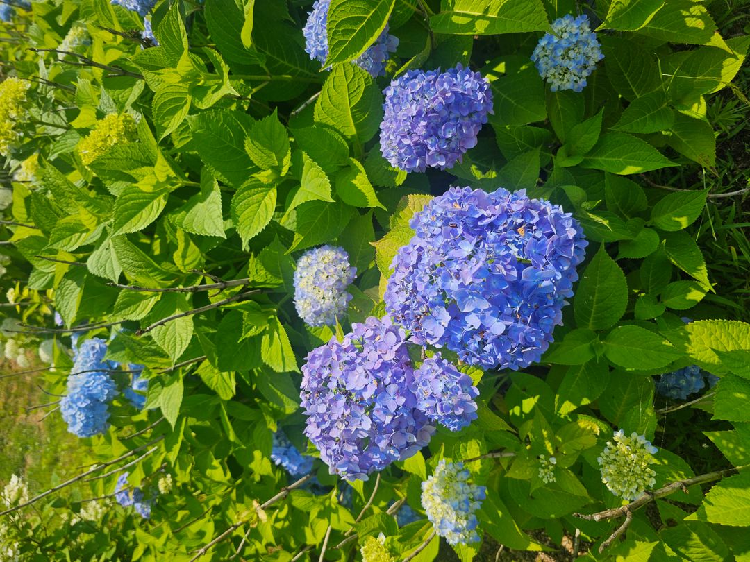 https://image.mom-mom.net/eyJidWNrZXQiOiJtb21tb20tbW9tc3RvdWNoIiwia2V5IjoicGxhY2VzLzY4NTdhM2E4ZWQxZmVkOTU1NzM3MDM1OS5qcGciLCJlZGl0cyI6eyJyZXNpemUiOnsid2lkdGgiOjUwMCwiaGVpZ2h0IjozNzV9fX0=