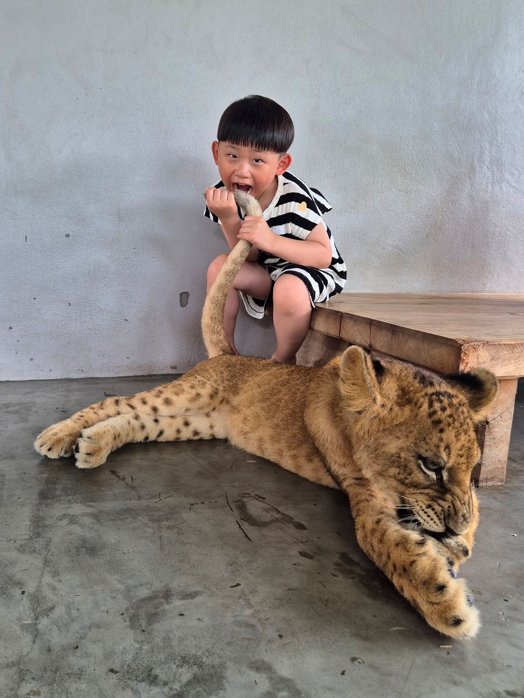 Lion Land Phuket(라이언랜드 푸켓)