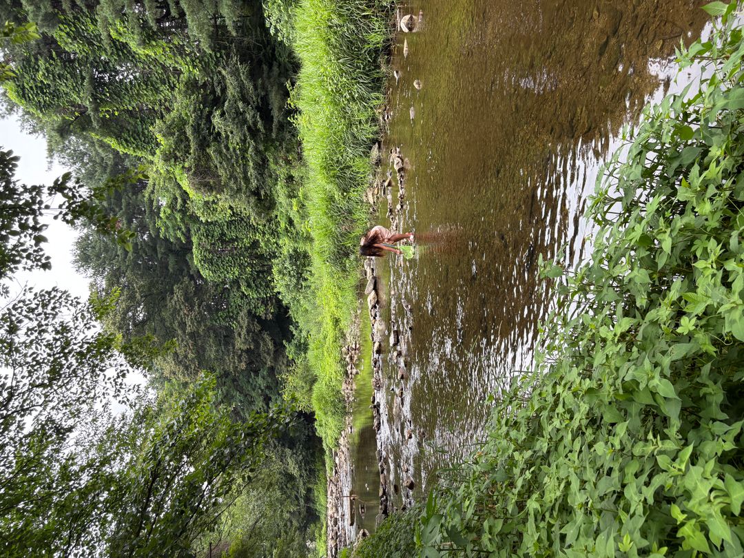 https://image.mom-mom.net/eyJidWNrZXQiOiJtb21tb20tbW9tc3RvdWNoIiwia2V5IjoicGxhY2VzLzY4NmU5OWVhMTVkNDdhMWIyNjU0NjA0Ny5qcGVnIiwiZWRpdHMiOnsicmVzaXplIjp7IndpZHRoIjo1MDAsImhlaWdodCI6Mzc1fX19