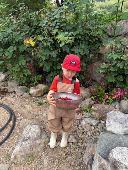 https://image.mom-mom.net/eyJidWNrZXQiOiJtb21tb20tbW9tc3RvdWNoIiwia2V5IjoicGxhY2VzLzY4NmY0ZWM1ZWQwNjMzZDU2YTRkMGIwYi5qcGciLCJlZGl0cyI6eyJyZXNpemUiOnsid2lkdGgiOjM3NSwiaGVpZ2h0Ijo1MDB9fX0=