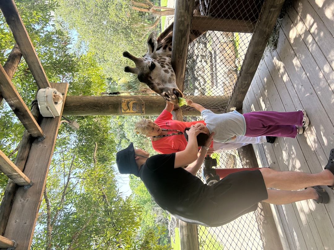 브레바드 주(Brevard Zoo)
