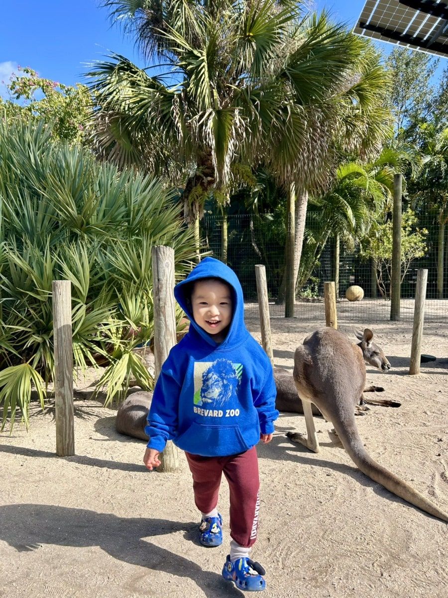 https://image.mom-mom.net/eyJidWNrZXQiOiJtb21tb20tbW9tc3RvdWNoIiwia2V5IjoicGxhY2VzLzY4OTJkZTkwZjNjZWQxOGYyZjM5MDgyNC5qcGciLCJlZGl0cyI6eyJyZXNpemUiOnsid2lkdGgiOjM3NSwiaGVpZ2h0Ijo1MDB9fX0=