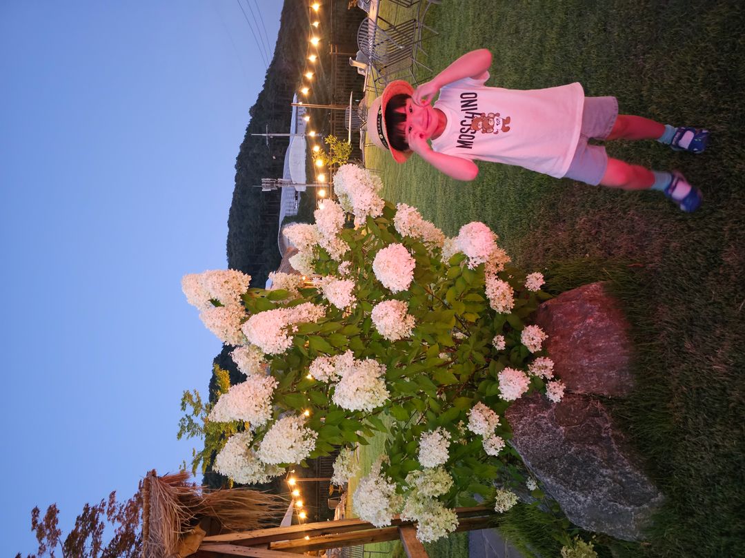 https://image.mom-mom.net/eyJidWNrZXQiOiJtb21tb20tbW9tc3RvdWNoIiwia2V5IjoicGxhY2VzLzY4OTg5Y2IyNTYyMjA5ZTM1ZmQ5YWYzYi5qcGciLCJlZGl0cyI6eyJyZXNpemUiOnsid2lkdGgiOjUwMCwiaGVpZ2h0IjozNzV9fX0=
