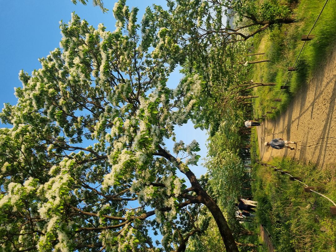 https://image.mom-mom.net/eyJidWNrZXQiOiJtb21tb20tbW9tc3RvdWNoIiwia2V5IjoicGxhY2VzLzY4MTIyNmYzMjkxZDY5MjBiNDJlMGUxNC5qcGciLCJlZGl0cyI6eyJyZXNpemUiOnsid2lkdGgiOjUwMCwiaGVpZ2h0IjozNzV9fX0=