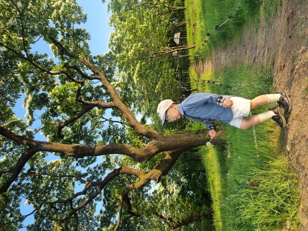 https://image.mom-mom.net/eyJidWNrZXQiOiJtb21tb20tbW9tc3RvdWNoIiwia2V5IjoicGxhY2VzLzY4MTIyNmYzZGEzMmVlNTQ3NTVlMjZhZC5qcGciLCJlZGl0cyI6eyJyZXNpemUiOnsid2lkdGgiOjUwMCwiaGVpZ2h0IjozNzV9fX0=
