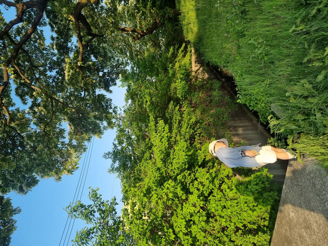 https://image.mom-mom.net/eyJidWNrZXQiOiJtb21tb20tbW9tc3RvdWNoIiwia2V5IjoicGxhY2VzLzY4MTIyNmY0NmY0OTZlZmNhNDA3ZDBjZS5qcGciLCJlZGl0cyI6eyJyZXNpemUiOnsid2lkdGgiOjUwMCwiaGVpZ2h0IjozNzV9fX0=