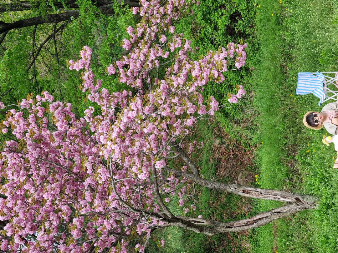 https://image.mom-mom.net/eyJidWNrZXQiOiJtb21tb20tbW9tc3RvdWNoIiwia2V5IjoicGxhY2VzLzY4MTIyZDg2MDNhMWM2MDk0YjQ4NmEwOS5qcGciLCJlZGl0cyI6eyJyZXNpemUiOnsid2lkdGgiOjUwMCwiaGVpZ2h0IjozNzV9fX0=