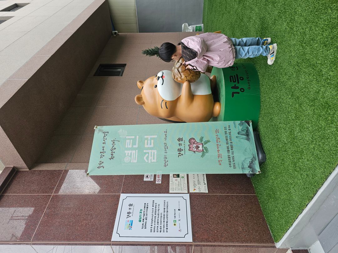 강릉앤솔