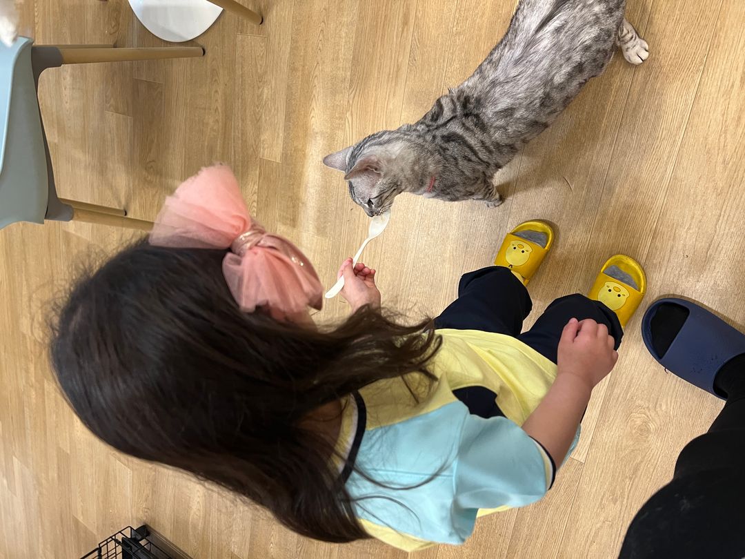 https://image.mom-mom.net/eyJidWNrZXQiOiJtb21tb20tbW9tc3RvdWNoIiwia2V5IjoicGxhY2VzLzY4Mjk5YmEyNTM5OWQ4NmUyNzRmNmU5ZC5qcGVnIiwiZWRpdHMiOnsicmVzaXplIjp7IndpZHRoIjo1MDAsImhlaWdodCI6Mzc1fX19