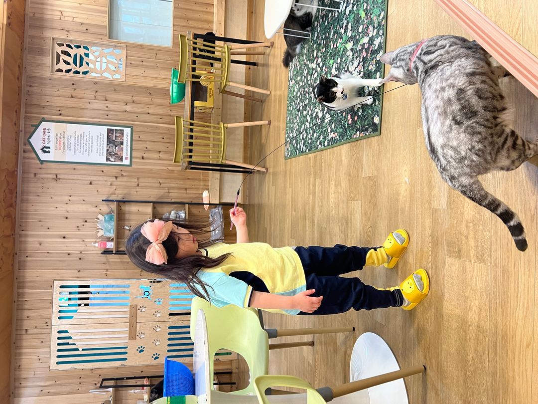 https://image.mom-mom.net/eyJidWNrZXQiOiJtb21tb20tbW9tc3RvdWNoIiwia2V5IjoicGxhY2VzLzY4Mjk5YmEyOTU2NTc2YjJiZDIwMDExZS5qcGVnIiwiZWRpdHMiOnsicmVzaXplIjp7IndpZHRoIjo1MDAsImhlaWdodCI6Mzc1fX19