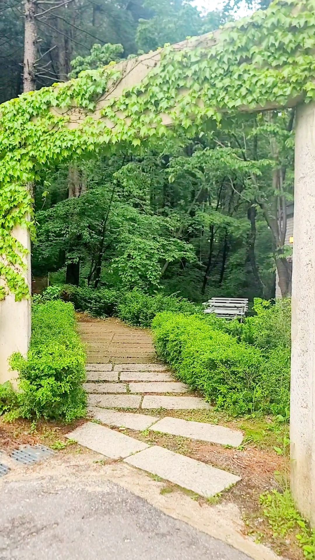 https://image.mom-mom.net/eyJidWNrZXQiOiJtb21tb20tbW9tc3RvdWNoIiwia2V5IjoicGxhY2VzLzY4MzNmYmViYWY1YmYwYjRhNzU5MzQ3Ny5qcGciLCJlZGl0cyI6eyJyZXNpemUiOnsid2lkdGgiOjI4MSwiaGVpZ2h0Ijo1MDB9fX0=