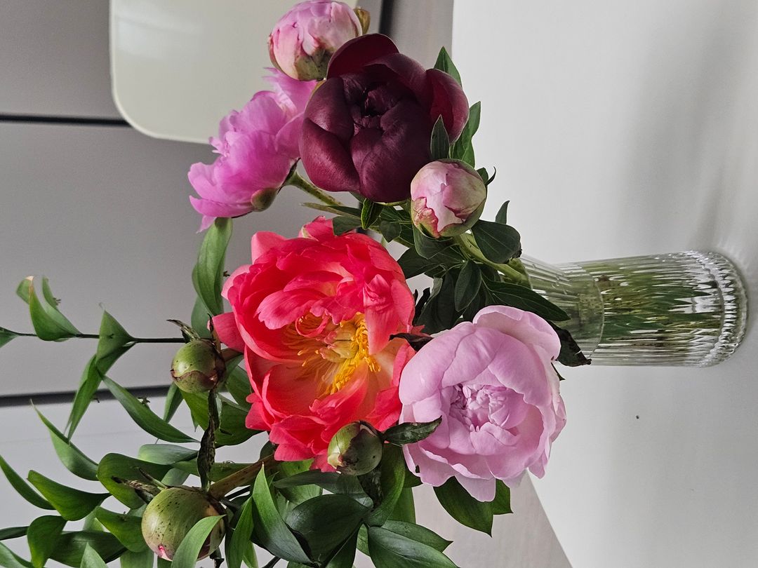 https://image.mom-mom.net/eyJidWNrZXQiOiJtb21tb20tbW9tc3RvdWNoIiwia2V5IjoicGxhY2VzLzY4MzY1ZjkwNGEwOWYyN2NiMTRhZmFkOC5qcGciLCJlZGl0cyI6eyJyZXNpemUiOnsid2lkdGgiOjUwMCwiaGVpZ2h0IjozNzV9fX0=