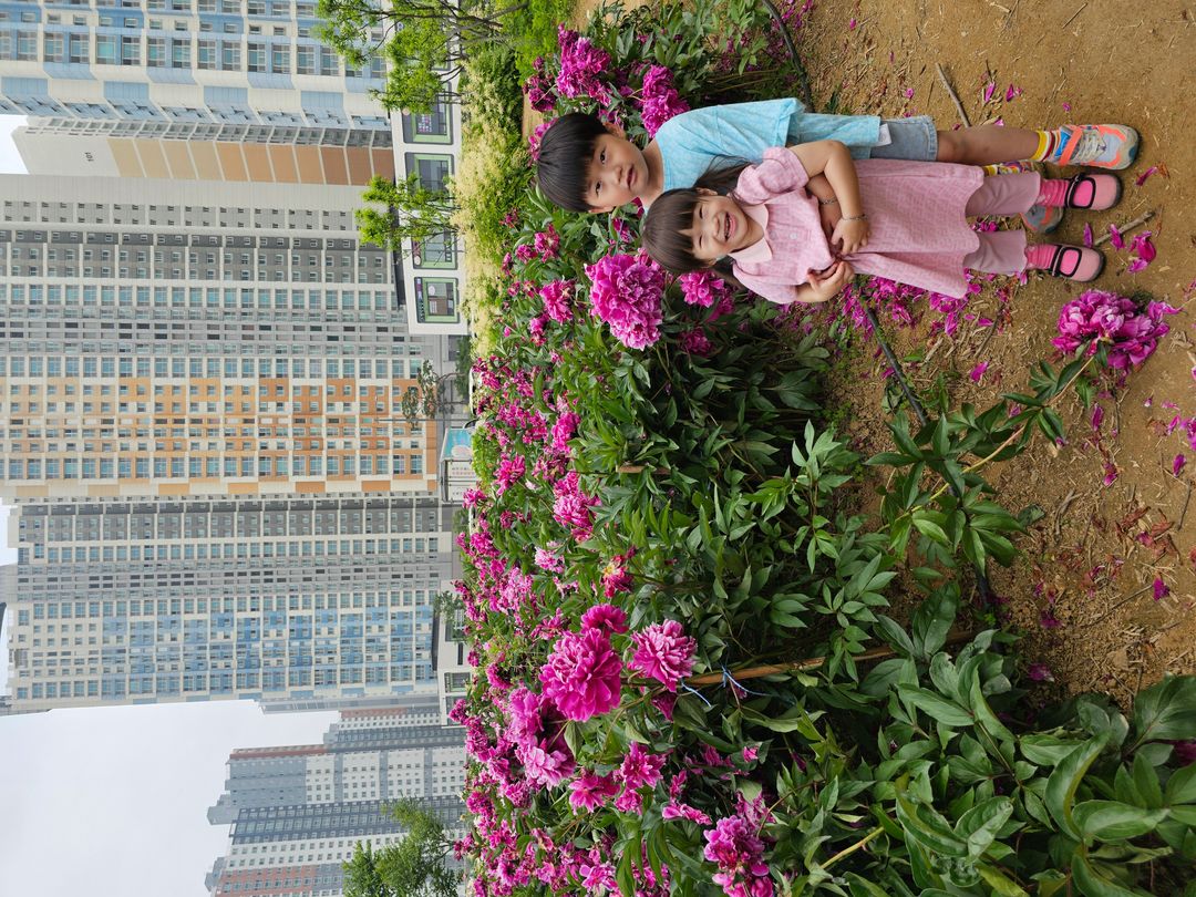 https://image.mom-mom.net/eyJidWNrZXQiOiJtb21tb20tbW9tc3RvdWNoIiwia2V5IjoicGxhY2VzLzY4M2E2ZjQ2Y2ZmMmUyM2YxODkxMjI3Mi5qcGciLCJlZGl0cyI6eyJyZXNpemUiOnsid2lkdGgiOjEwODAsIndpdGhvdXRFbmxhcmdlbWVudCI6dHJ1ZX19fQ==