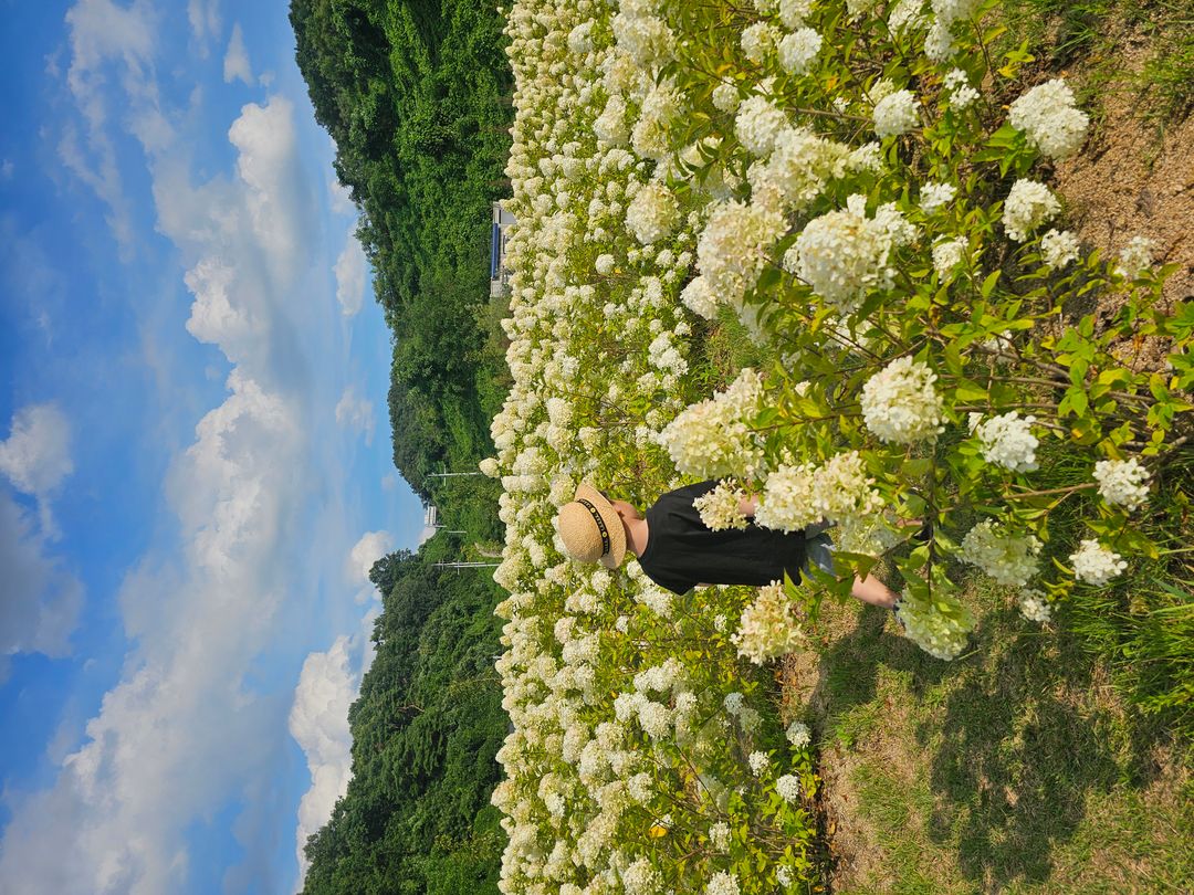 모멘도르