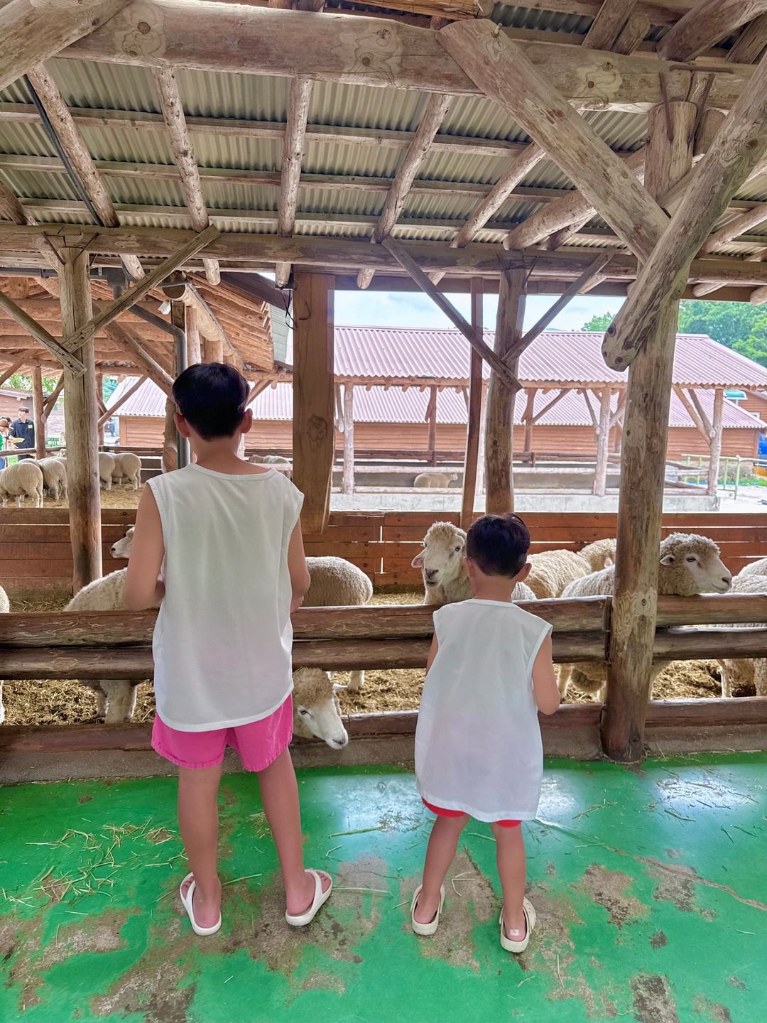 https://image.mom-mom.net/eyJidWNrZXQiOiJtb21tb20tbW9tc3RvdWNoIiwia2V5IjoicGxhY2VzLzY4YWZkYjc3NzY4NjQ3NzgyY2EzNDRjZC5qcGVnIiwiZWRpdHMiOnsicmVzaXplIjp7IndpZHRoIjozNzUsImhlaWdodCI6NTAwfX19