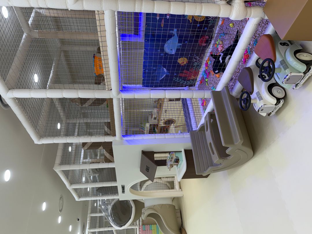 https://image.mom-mom.net/eyJidWNrZXQiOiJtb21tb20tbW9tc3RvdWNoIiwia2V5IjoicGxhY2VzLzY4YzBmZTMwNmIzNTVmNmY1YjNjMDgyMS5qcGVnIiwiZWRpdHMiOnsicmVzaXplIjp7IndpZHRoIjo1MDAsImhlaWdodCI6Mzc1fX19