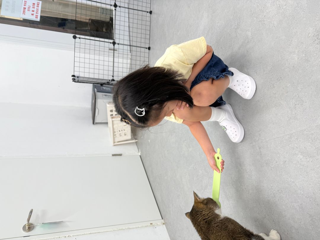 https://image.mom-mom.net/eyJidWNrZXQiOiJtb21tb20tbW9tc3RvdWNoIiwia2V5IjoicGxhY2VzLzY4Y2JhNjI2YmVmMGI1MDYyMTQyMWUyNi5qcGVnIiwiZWRpdHMiOnsicmVzaXplIjp7IndpZHRoIjo1MDAsImhlaWdodCI6Mzc1fX19