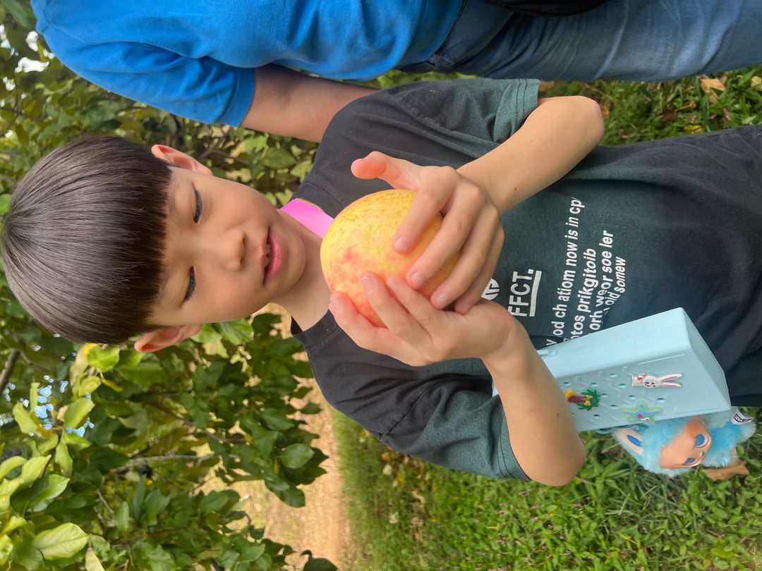 https://image.mom-mom.net/eyJidWNrZXQiOiJtb21tb20tbW9tc3RvdWNoIiwia2V5IjoicGxhY2VzLzY4Y2YzMjM4YzVhZjUxZjE3ZGI4ZDllYS5qcGVnIiwiZWRpdHMiOnsicmVzaXplIjp7IndpZHRoIjo1MDAsImhlaWdodCI6Mzc1fX19