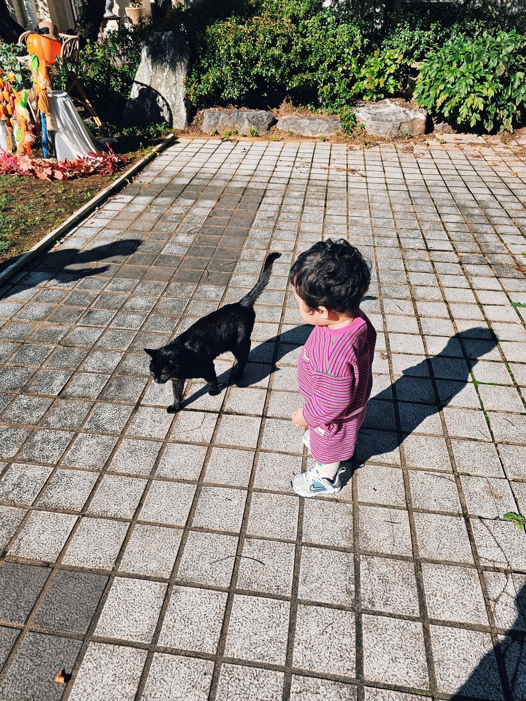 https://image.mom-mom.net/eyJidWNrZXQiOiJtb21tb20tbW9tc3RvdWNoIiwia2V5IjoicGxhY2VzLzY4ZDM5NDQwMWZmNmM1MzZmYjY1ODFiZS5qcGciLCJlZGl0cyI6eyJyZXNpemUiOnsid2lkdGgiOjM3NSwiaGVpZ2h0Ijo1MDB9fX0=