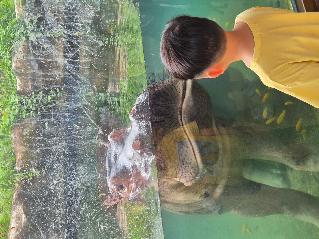 타이베이 시립 동물원