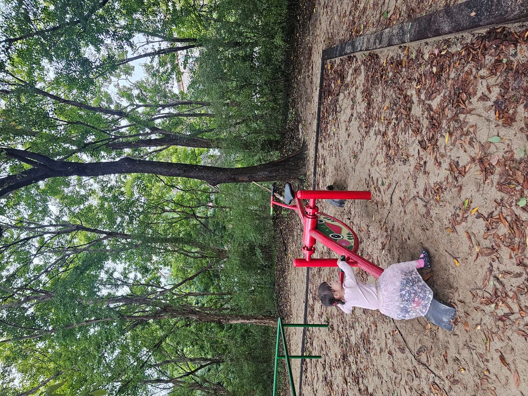 https://image.mom-mom.net/eyJidWNrZXQiOiJtb21tb20tbW9tc3RvdWNoIiwia2V5IjoicGxhY2VzLzY4ZTRjMzhjNjY2YTViMTZkOGViYWQ2Ny5qcGciLCJlZGl0cyI6eyJyZXNpemUiOnsid2lkdGgiOjUwMCwiaGVpZ2h0IjozNzV9fX0=