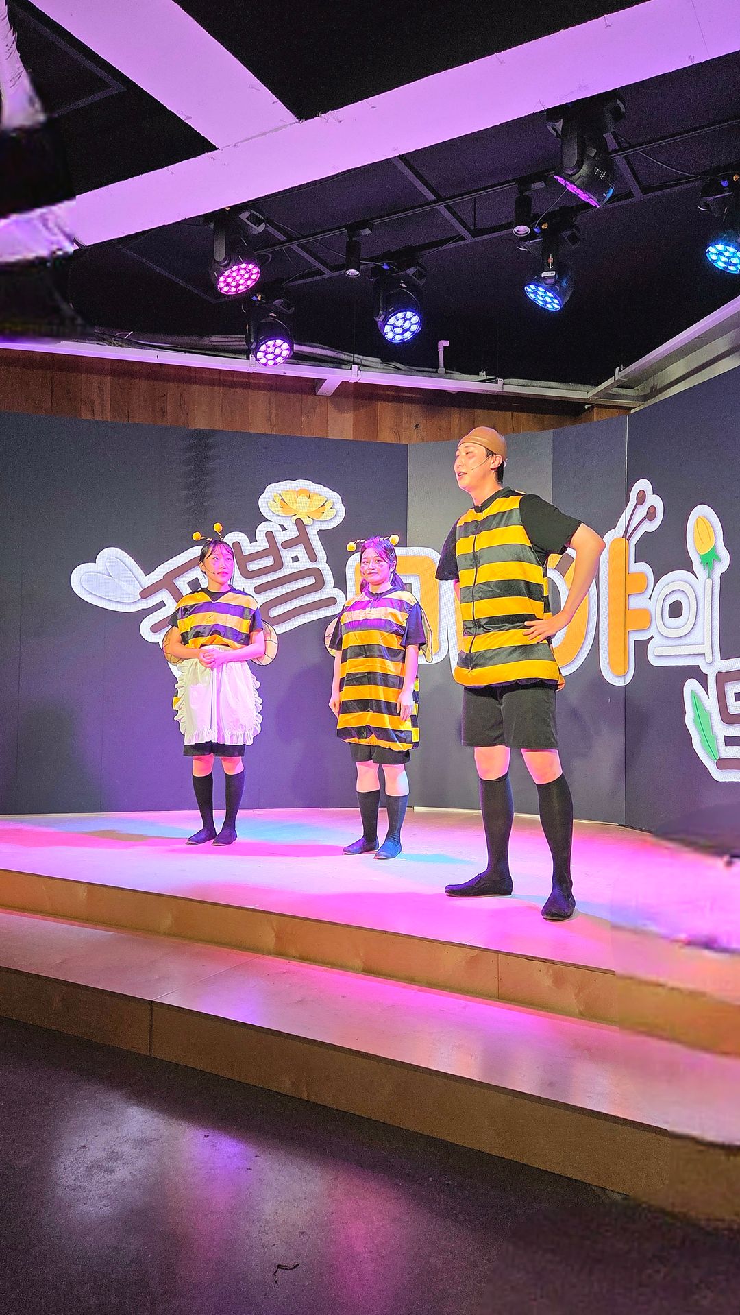 <뮤지컬> 꿀벌 마야의 모험 - 용인