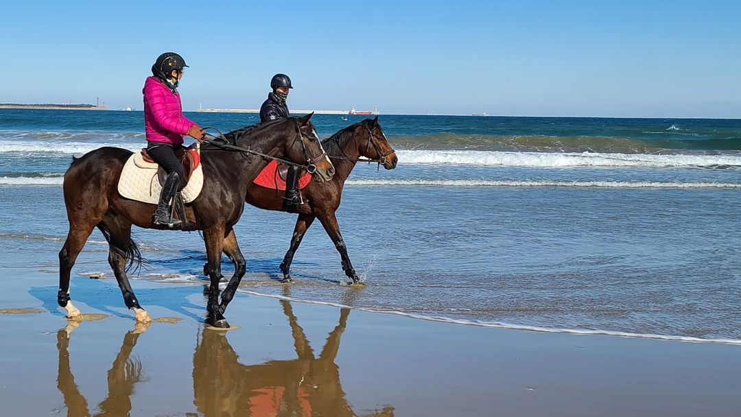 포항동해승마장