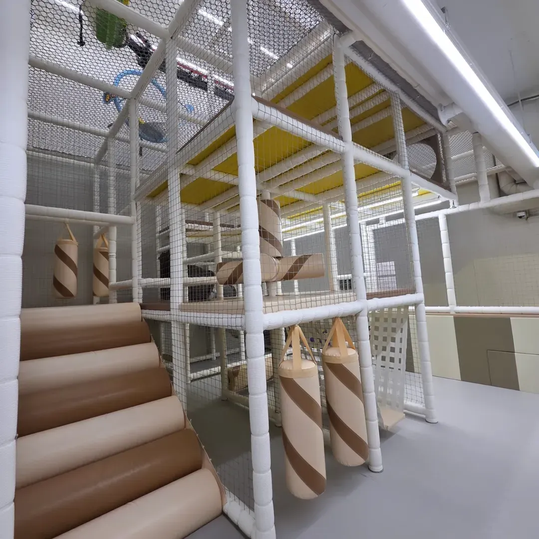 리틀치프 럭스 신사점