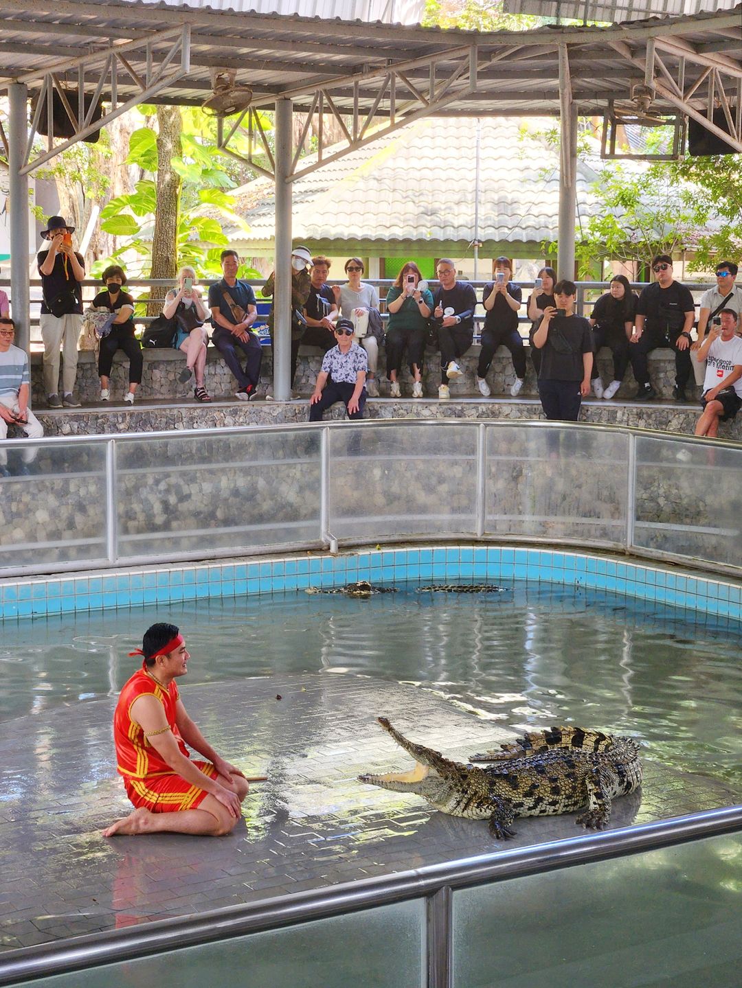 백만년바위공원과 악어농장
