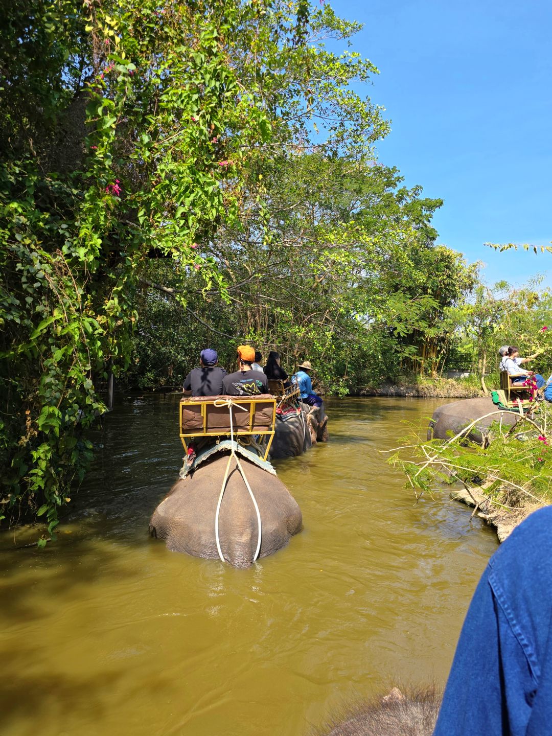몽창 카페 파타야 코끼리 빌리지
