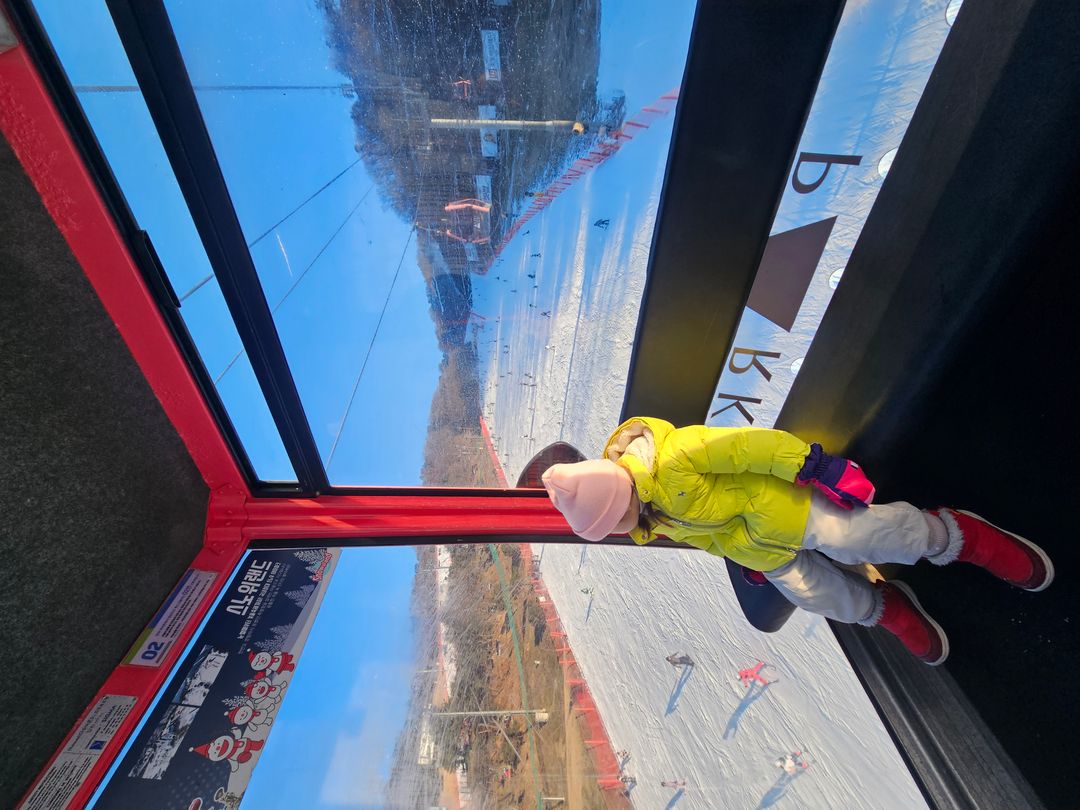 비발디파크 스키장(~26/03/02)