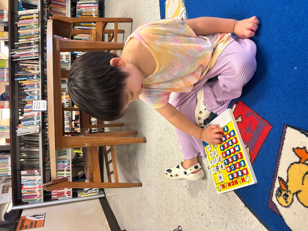 데데도 공공도서관