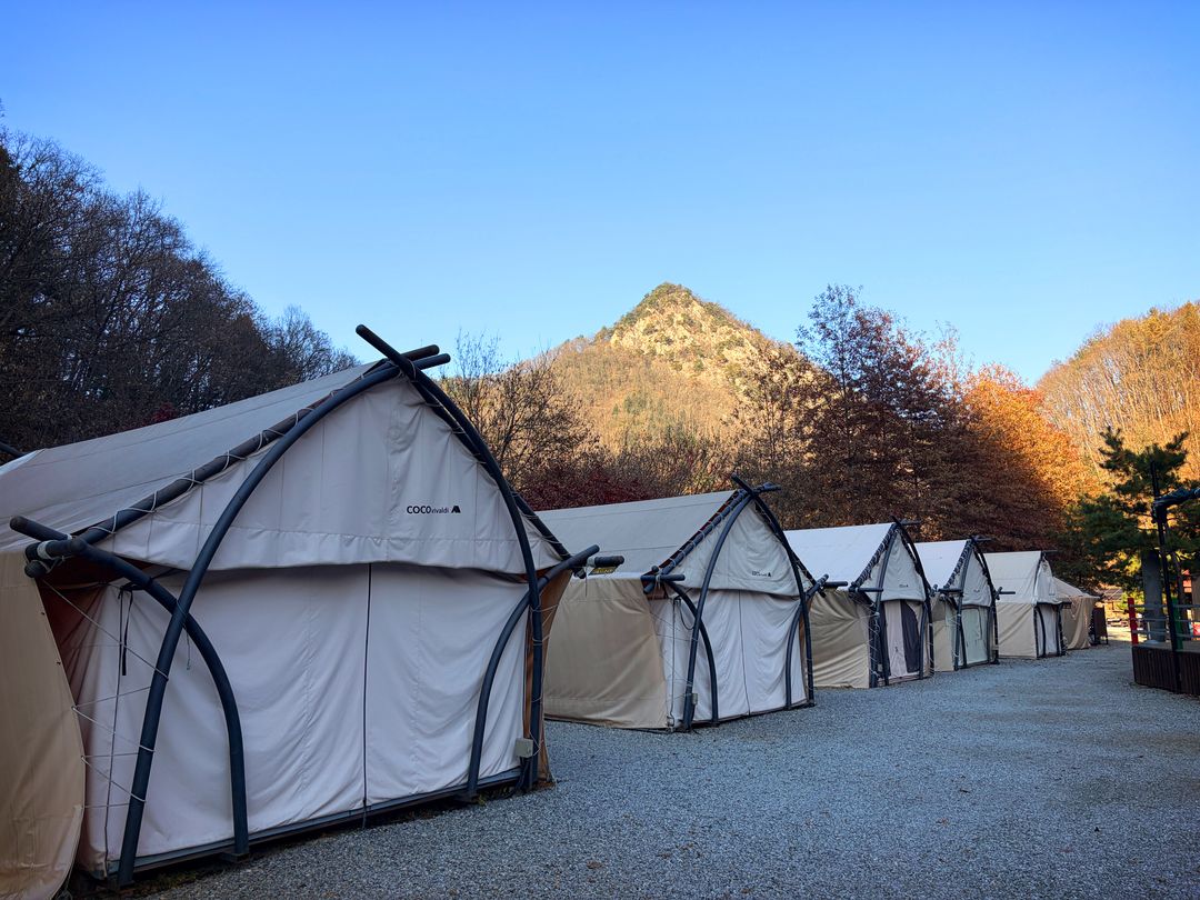 코코비발디 글램핑 카라반 오토캠핑장