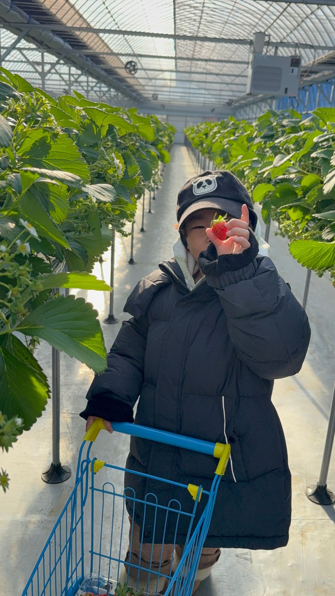 화성에서온딸기