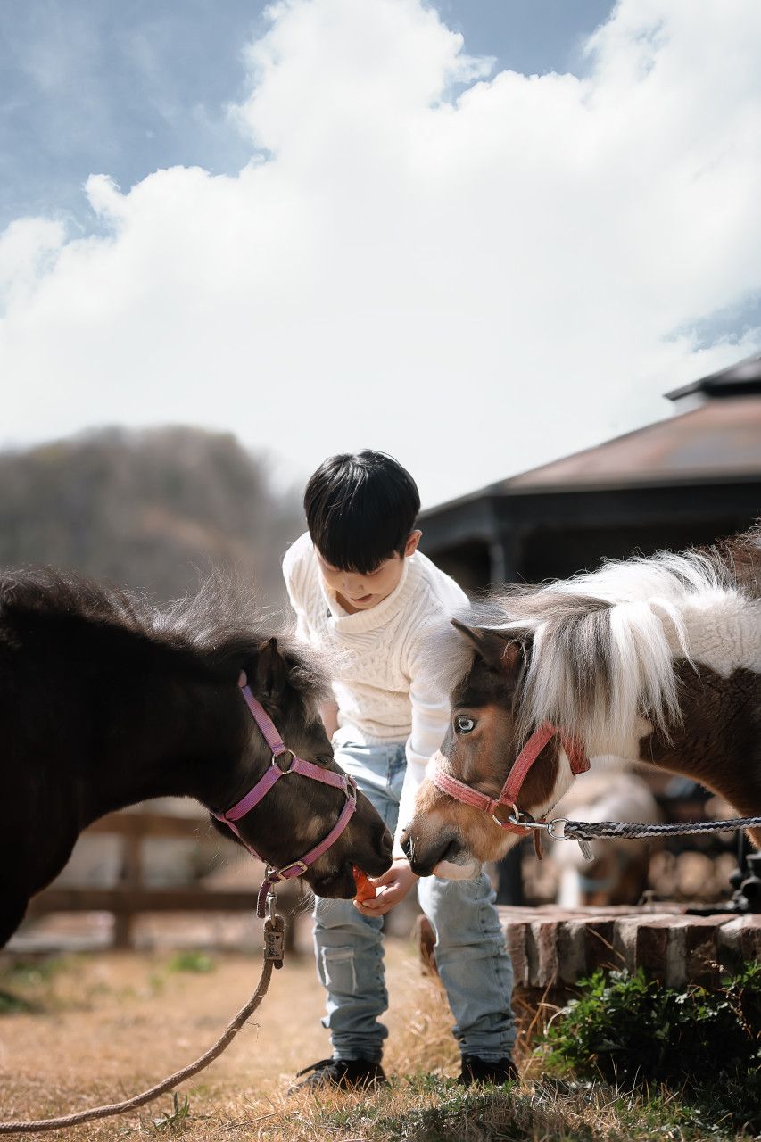 프리지언클럽앤리조트