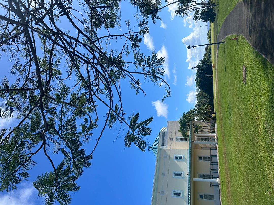 괌 대학교