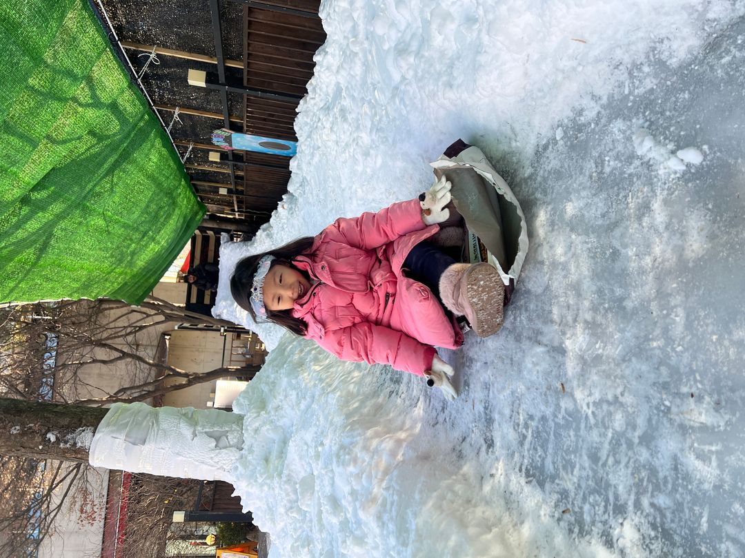 석죽재물고기나무 비료포대 눈썰매장