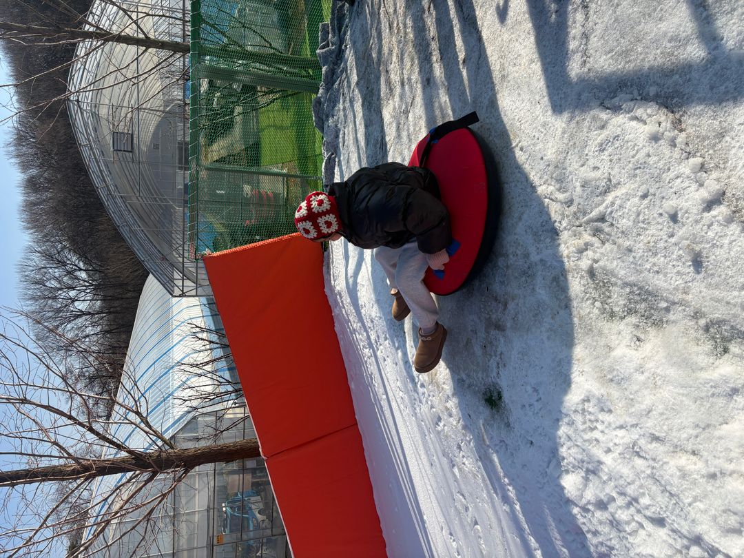 용인자작나무숲 눈썰매장(~26/02/28)