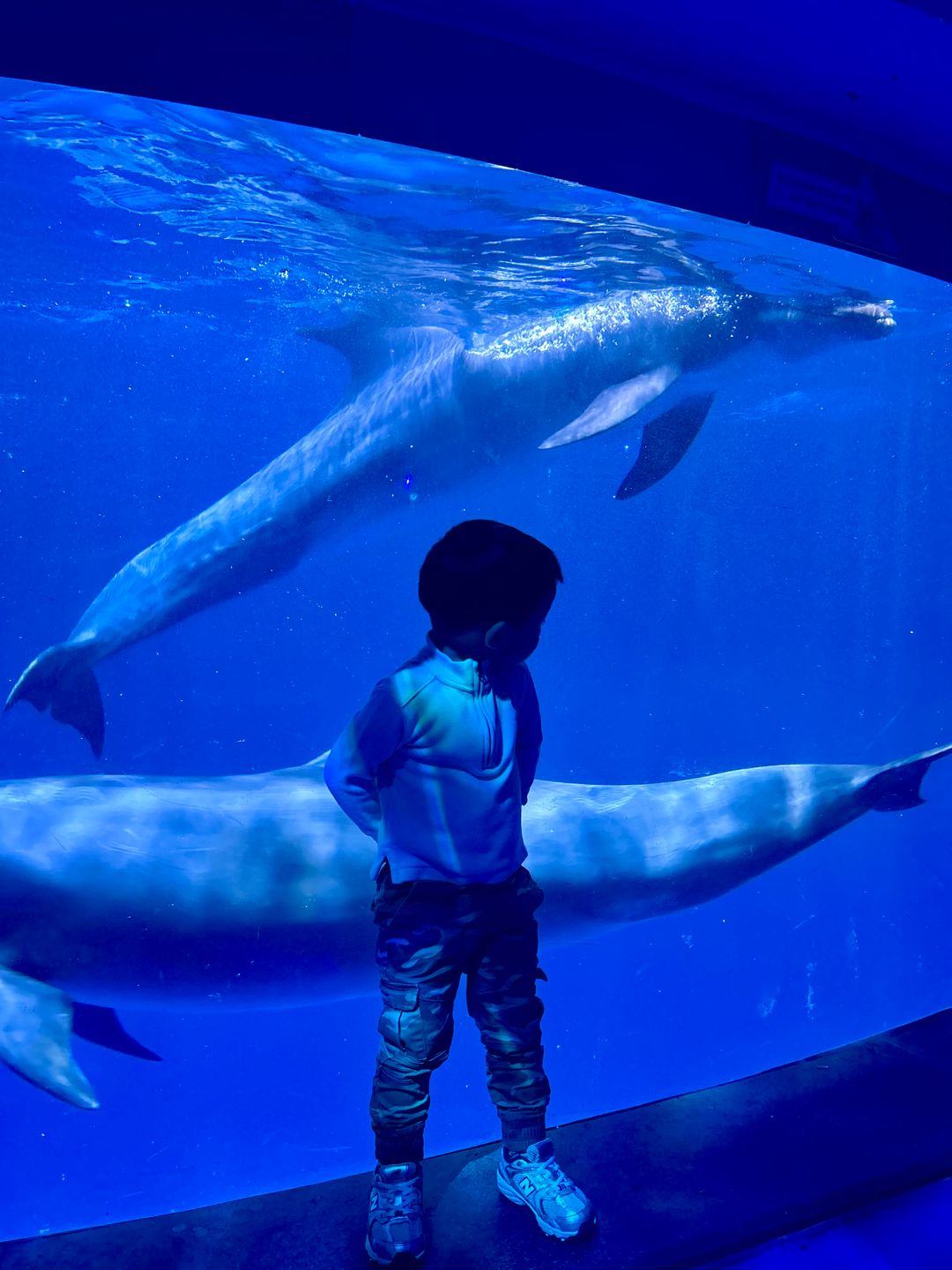 칭다오 극지해양세계 