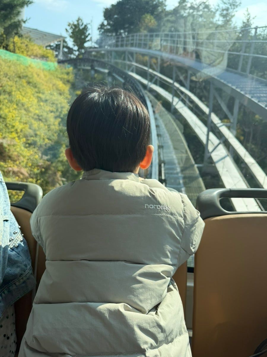 태권도원 모노레일 & 전망대