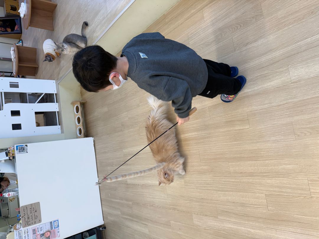 https://image.mom-mom.net/eyJidWNrZXQiOiJtb21tb20tbW9tc3RvdWNoIiwia2V5IjoicGxhY2VzLzY5ODIwNDM2M2FkMjVlNGFkYmNlZDZlNi5qcGVnIiwiZWRpdHMiOnsicmVzaXplIjp7IndpZHRoIjo1MDAsImhlaWdodCI6Mzc1fX19