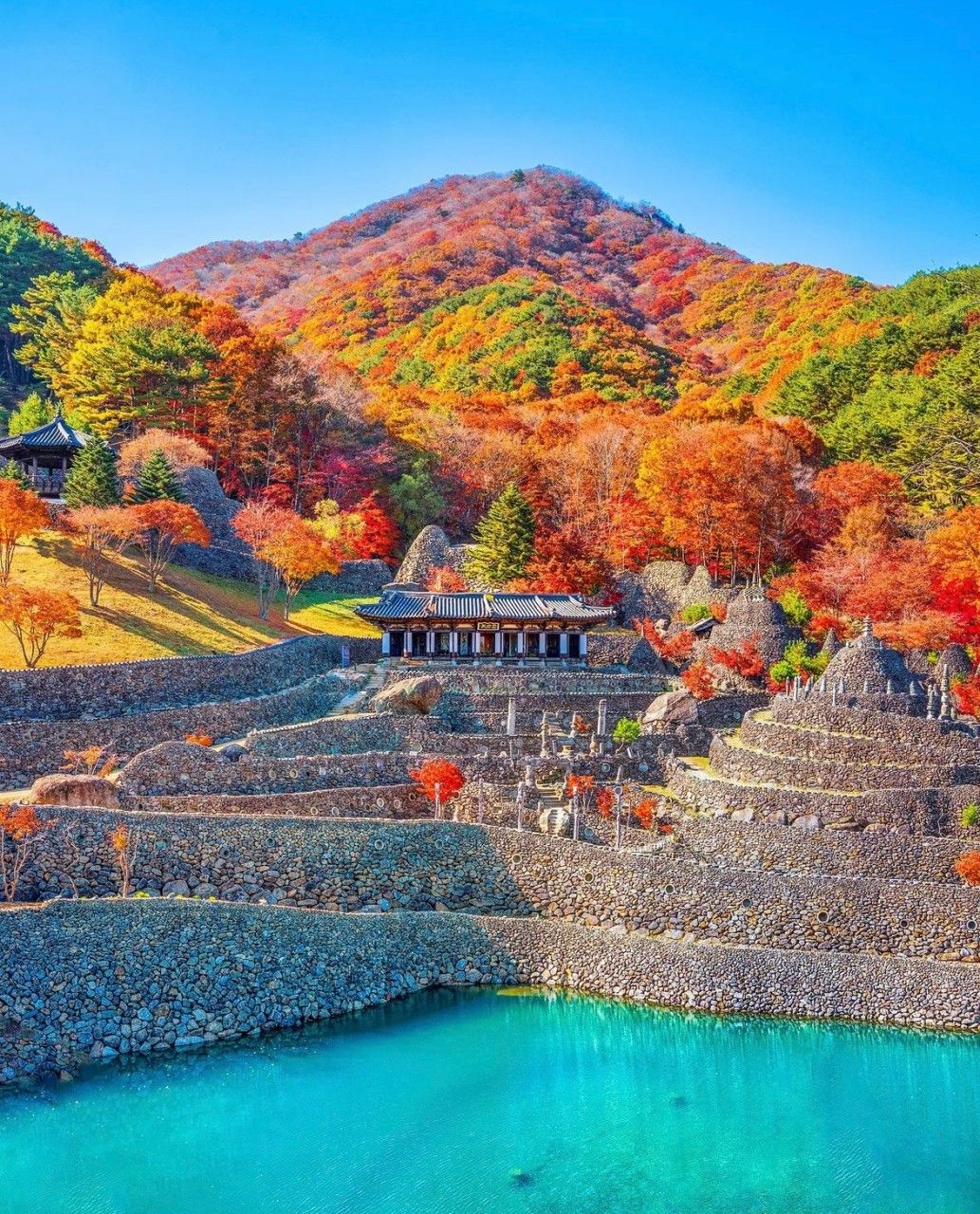 <단풍 명소> 삼성궁